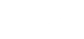 Xandonzz Imports - Loja Online